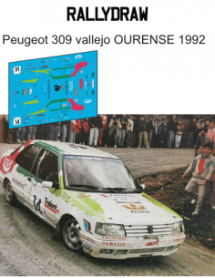 peugeot 309 vallejo ourense 1992