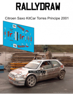 Citroen Saxo Kit car torres Principe 2001